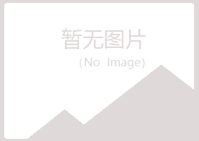 安丘字迹广告业有限公司